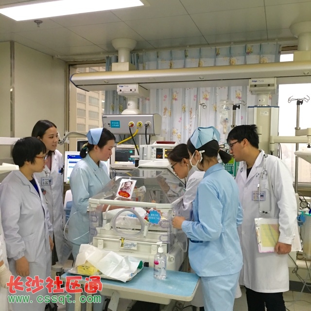 家庭结构