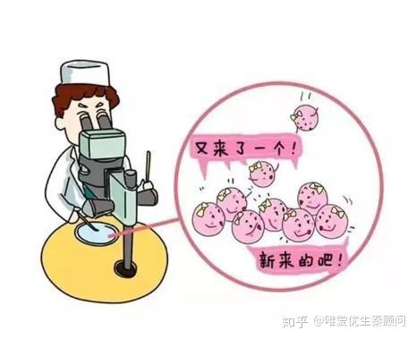 初生儿