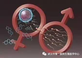 动物分娩