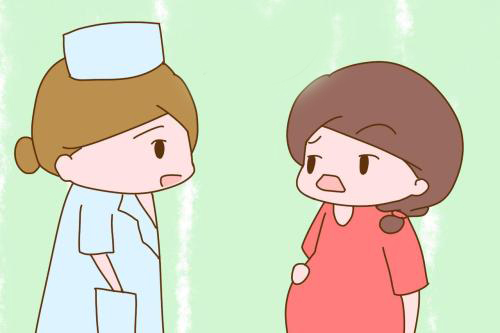 动物学
