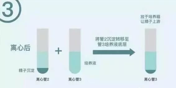 初生婴儿护理育儿知识大全