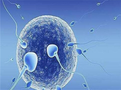 初生婴儿喂奶标准