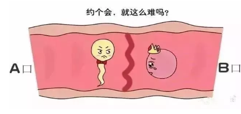 初生婴儿
