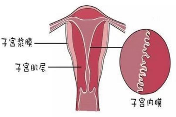 初生儿黄疸