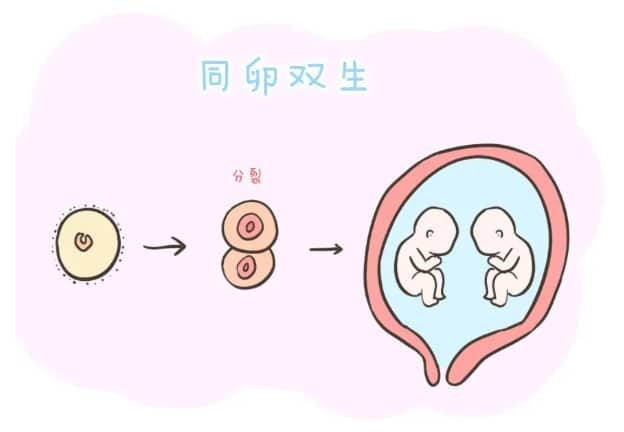 初秋育儿知识大班