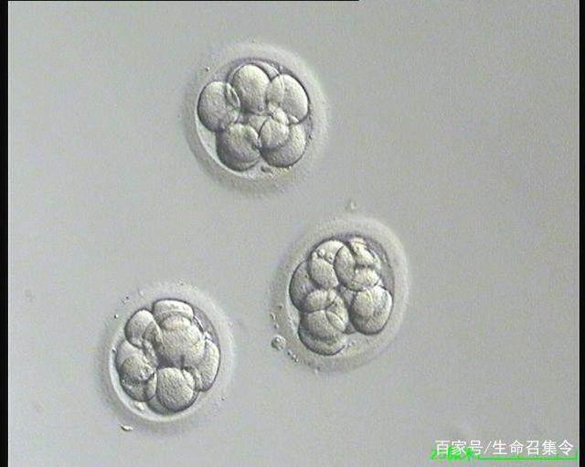 13岁女孩