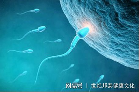 南京产假生育津贴