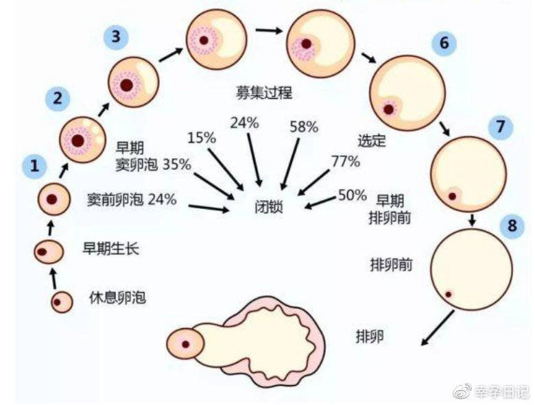 14岁女孩