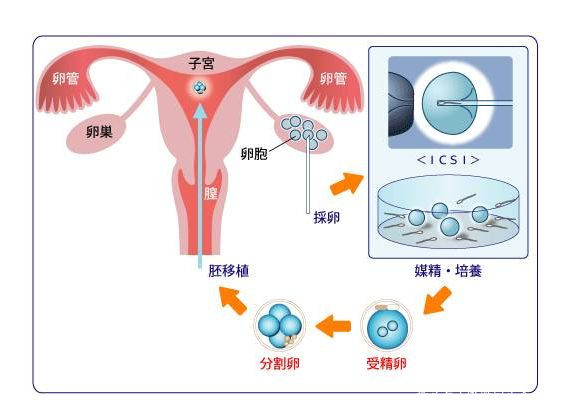 孕妇