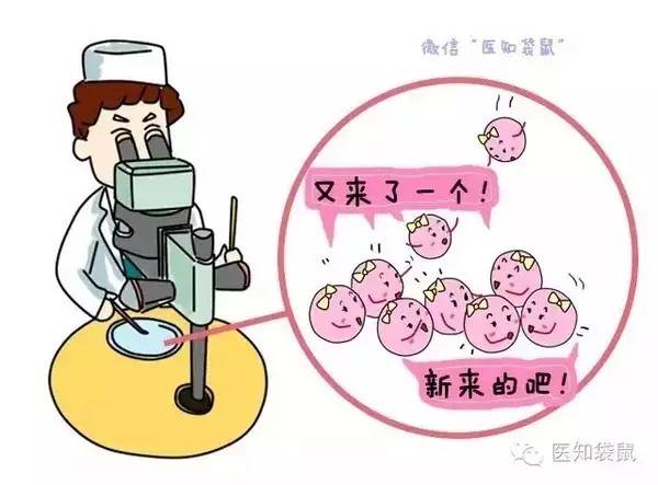 报娘恩