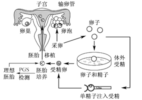 十七岁
