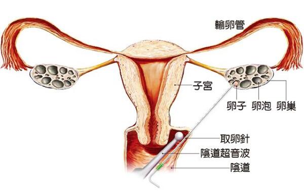 十月怀胎哭娘血河经