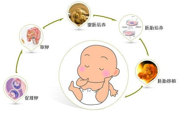单亲爸爸