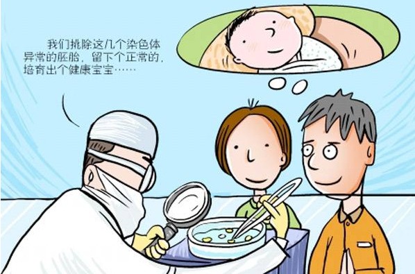 卵泡排出