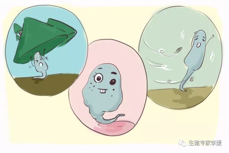 十月怀胎