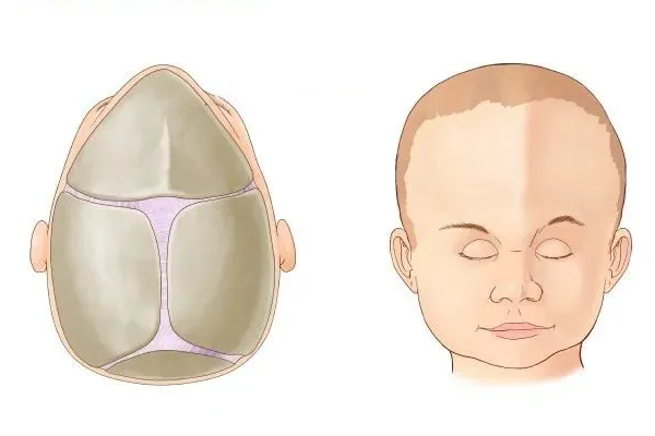 坐月子喝什么汤最好最有营养促进奶水多