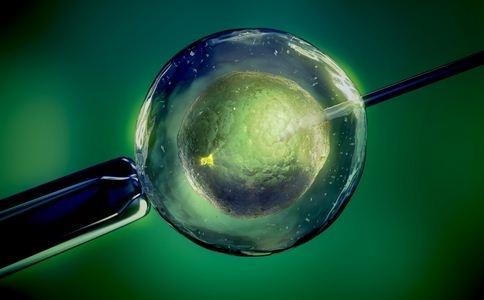 国家生殖医学重点实验室