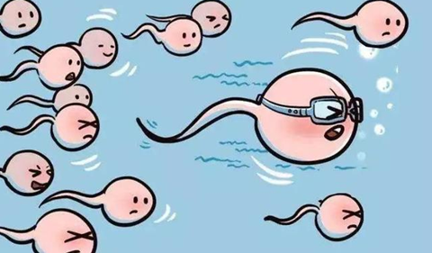 排卵期