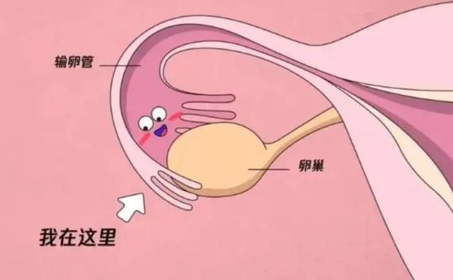 国家不孕不育政策补贴